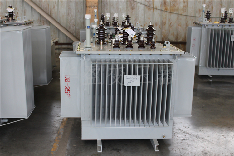 宝鸡S20-800kVA/10kV/0.4kV变压器